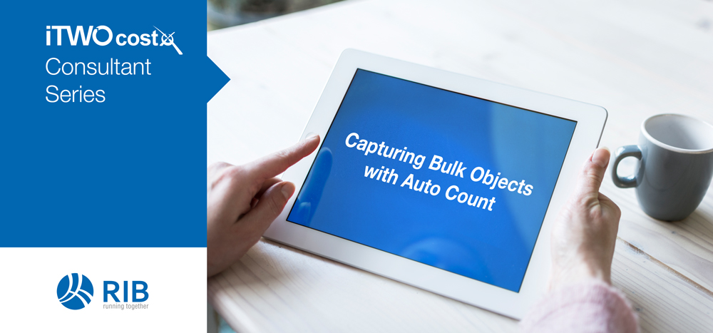 iTWO costX Capturing Bulk Objects with Auto Count